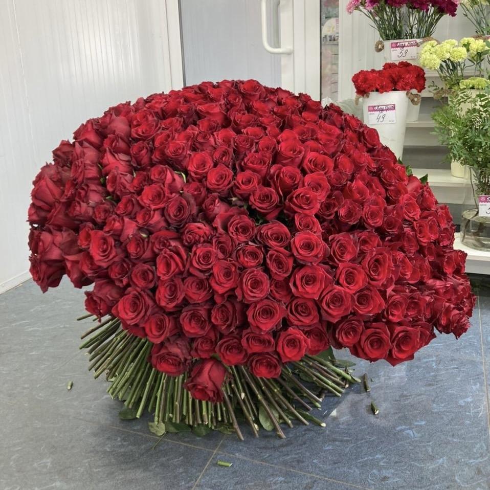 Букеты из красных роз 80 см (Эквадор) [код: 9696]