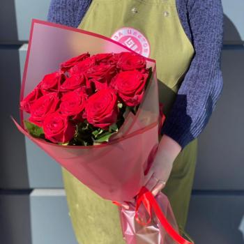 Красные розы 60 см 15 шт. (Россия) код  16296