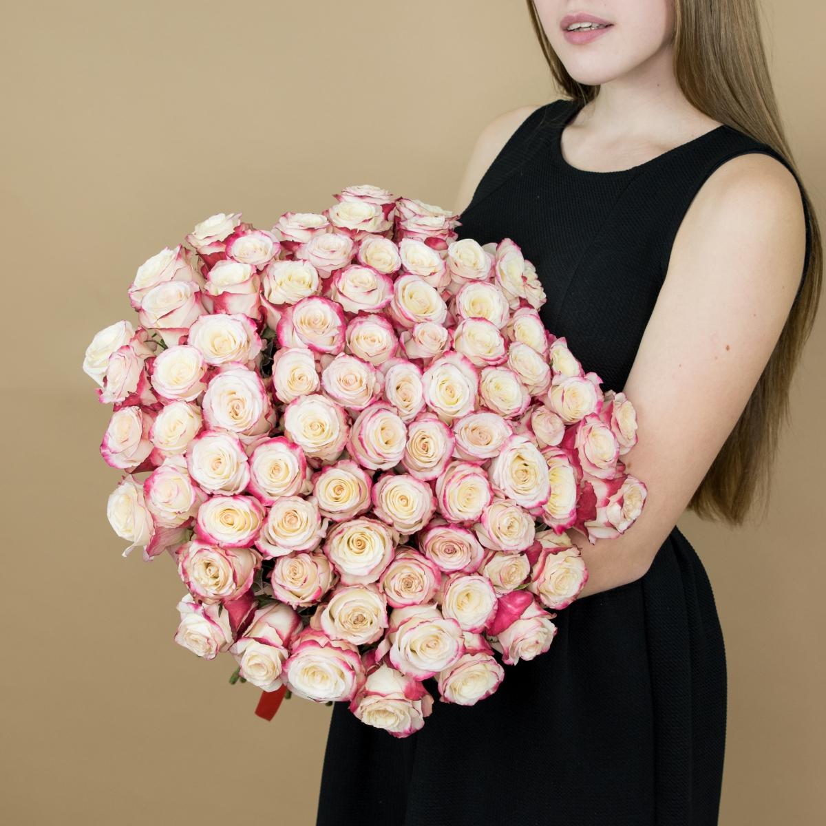 Розы красно-белые (40 см) Эквадор (код: 24ekb)