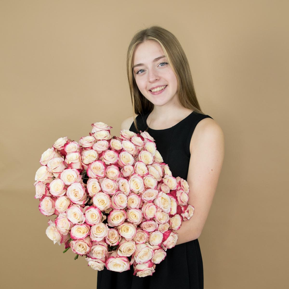 Розы красно-белые (40 см) Эквадор (код: 24ekb)