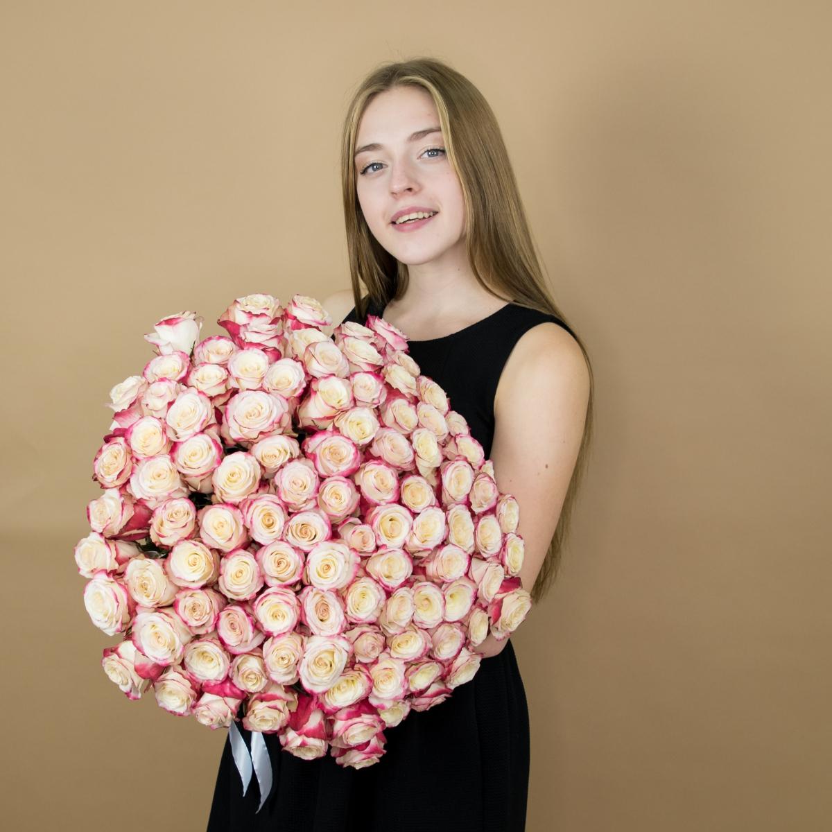 Розы красно-белые 101 шт. (40 см) (код товара  4272e)