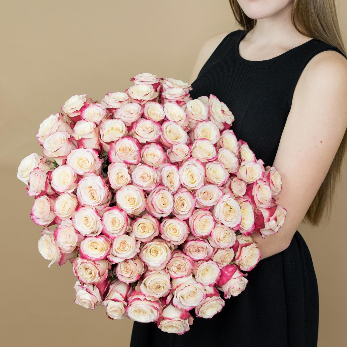 Розы красно-белые 101 шт. (40 см) (код товара  4272e)