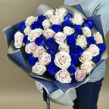 Белая и Синяя Роза 51шт 70см (Эквадор) код товара  5488e