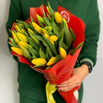 Тюльпаны желтые 25 шт Артикул  6768e